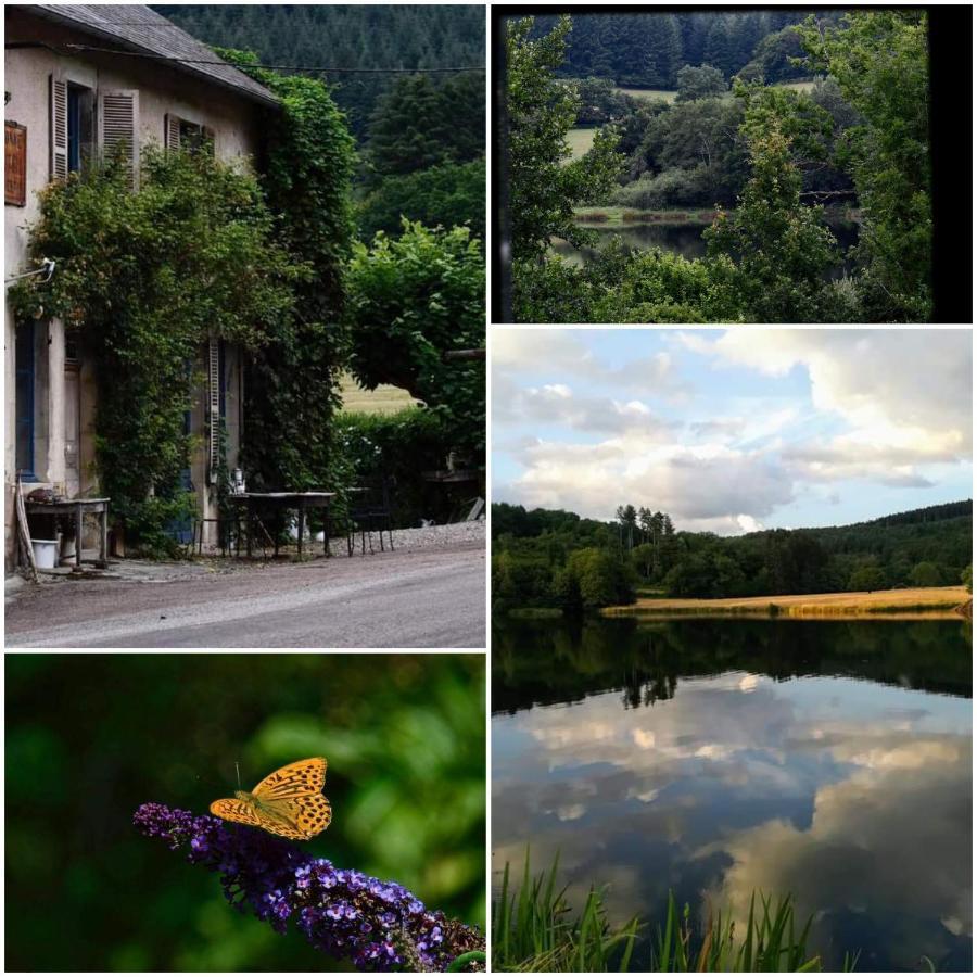 Chambres D'Hotes A L'Etang D'Yonne Arleuf Dış mekan fotoğraf